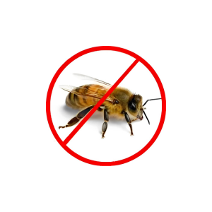 Bee & Wasp Control