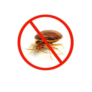 Bed Bug Treatment